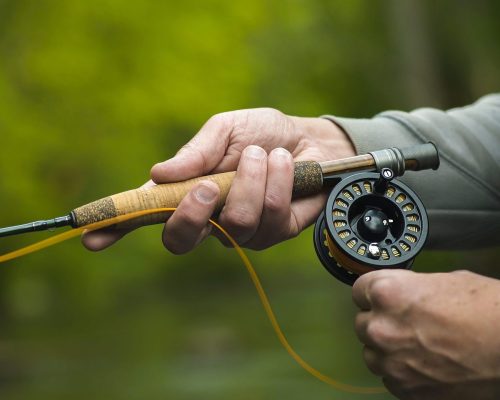 Fisherman,Catching,Brown,Trout,On,The,Fly,Standing,In,River.